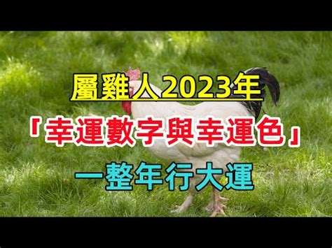 1969 屬雞2023 幸運色 窗戶尺寸表